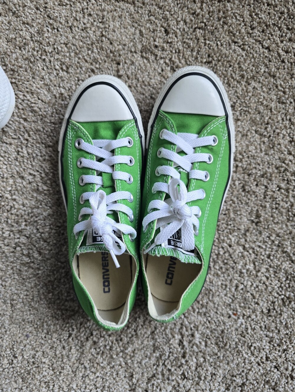 Converse Green Low Top Sneakers